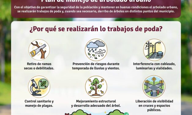 ¡CUIDAR LOS ÁRBOLES TAMBIÉN ES PROTEGER A LAS FAMILIAS! PODA PREVENTIVA DURANTE LA TEMPORADA DE LLUVIAS
