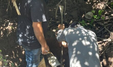 ¡REPARAN LÍNEA DE CONDUCCIÓN DE AGUA EN SAN JOSÉ DE GRACIA Y NORMALIZAN EL SERVICIO!