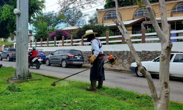 ¡MÁS LIMPIO Y SEGURO! REALIZAN PODAS PREVENTIVAS Y MANTENIMIENTO EN EL BOULEVARD TEPIC–XALISCO