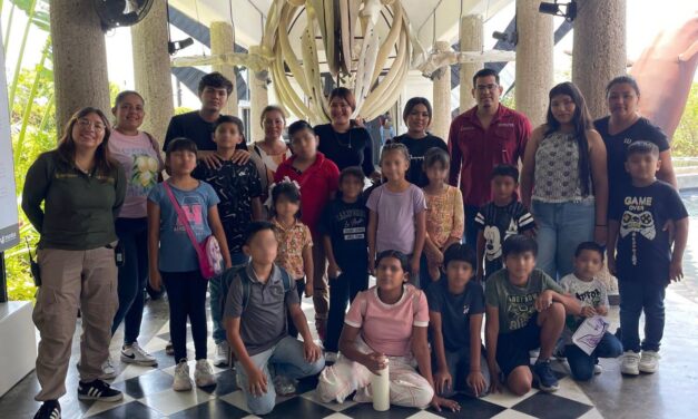 ¡PALMILLAS CONECTA CON EL MAR! NIÑAS Y NIÑOS APRENDEN SOBRE VIDA MARINA Y CONSERVACIÓN