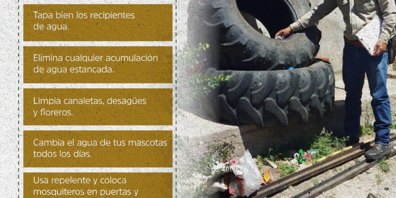 ¡Lava, tapa, voltea y tira! Unidos contra el dengue