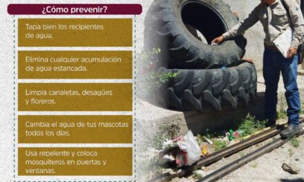 ¡Lava, tapa, voltea y tira! Unidos contra el dengue