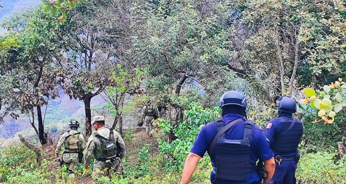 Mesa de Paz fortalece estrategias para un Nayarit más seguro