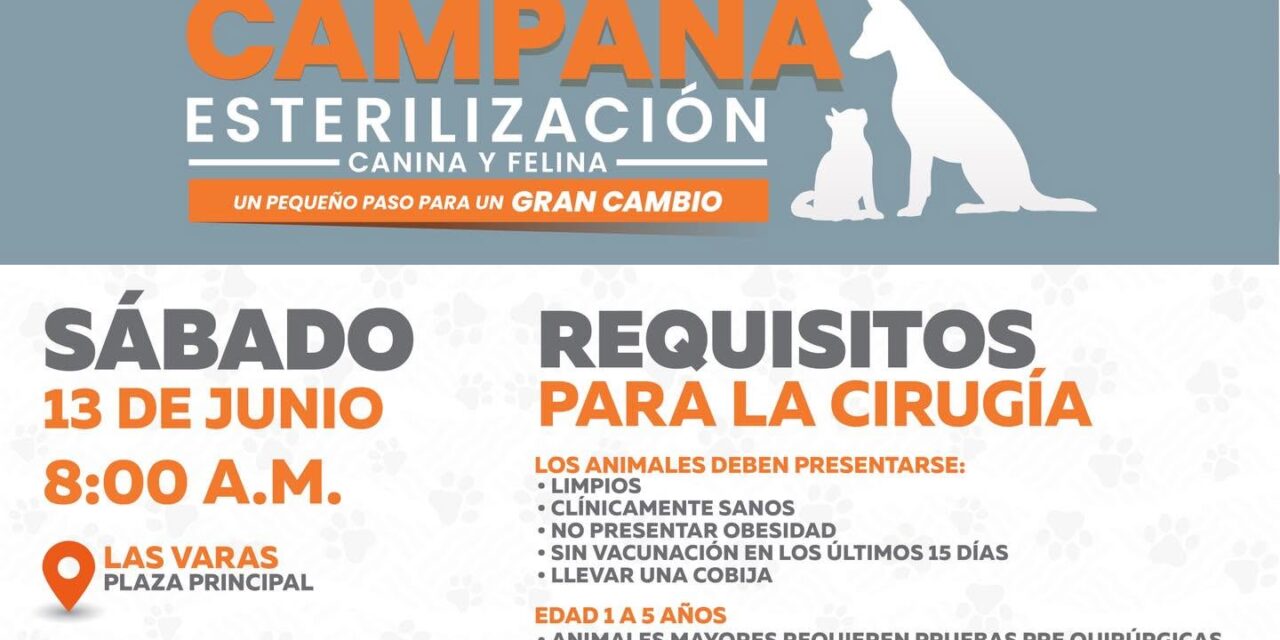 ¡ESTERILIZAR ES CUIDAR! SÚMATE A LA CAMPAÑA DE ESTERILIZACIÓN