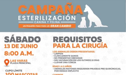 ¡ESTERILIZAR ES CUIDAR! SÚMATE A LA CAMPAÑA DE ESTERILIZACIÓN