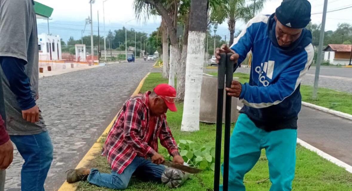 ¡RECONOCEMOS A SERVICIOS PÚBLICOS DE JALA! TRABAJO DIARIO POR UN MUNICIPIO LIMPIO Y ORDENADO