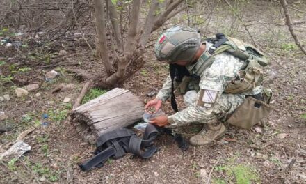 Presencia institucional y coordinación fortalecen la seguridad y el bienestar en Nayarit
