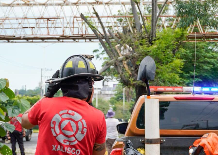 ¡PODA PREVENTIVA EN EL BULEVAR TEPIC–XALISCO PARA MAYOR SEGURIDAD!