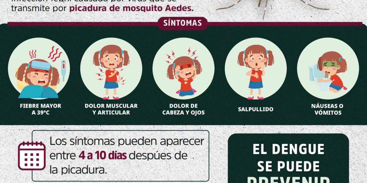 ¡EL DENGUE SE PREVIENE DESDE CASA! ELIMINA LOS CRIADEROS DEL MOSQUITO