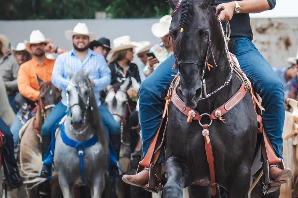 ¡LA MEGA CABALGATA HIZO HISTORIA! TRADICIÓN, UNIDAD Y ORGULLO COMPOSTELENSE RECORRIERON CADA CAMINO