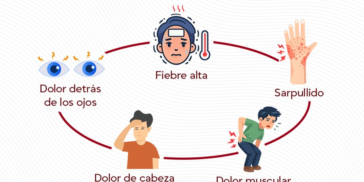 PREVENCION DEL DENGUE