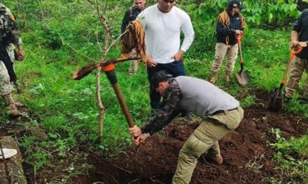Mesa Estatal refuerza operativos de seguridad y prevención en Nayarit