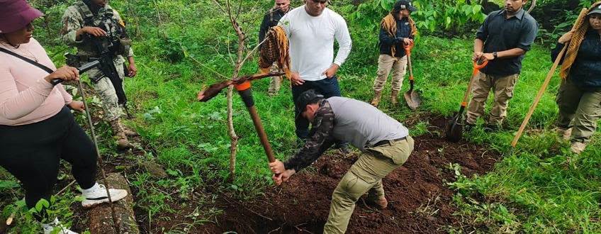 Mesa Estatal refuerza operativos de seguridad y prevención en Nayarit