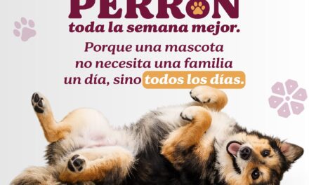 SABADO PERRON