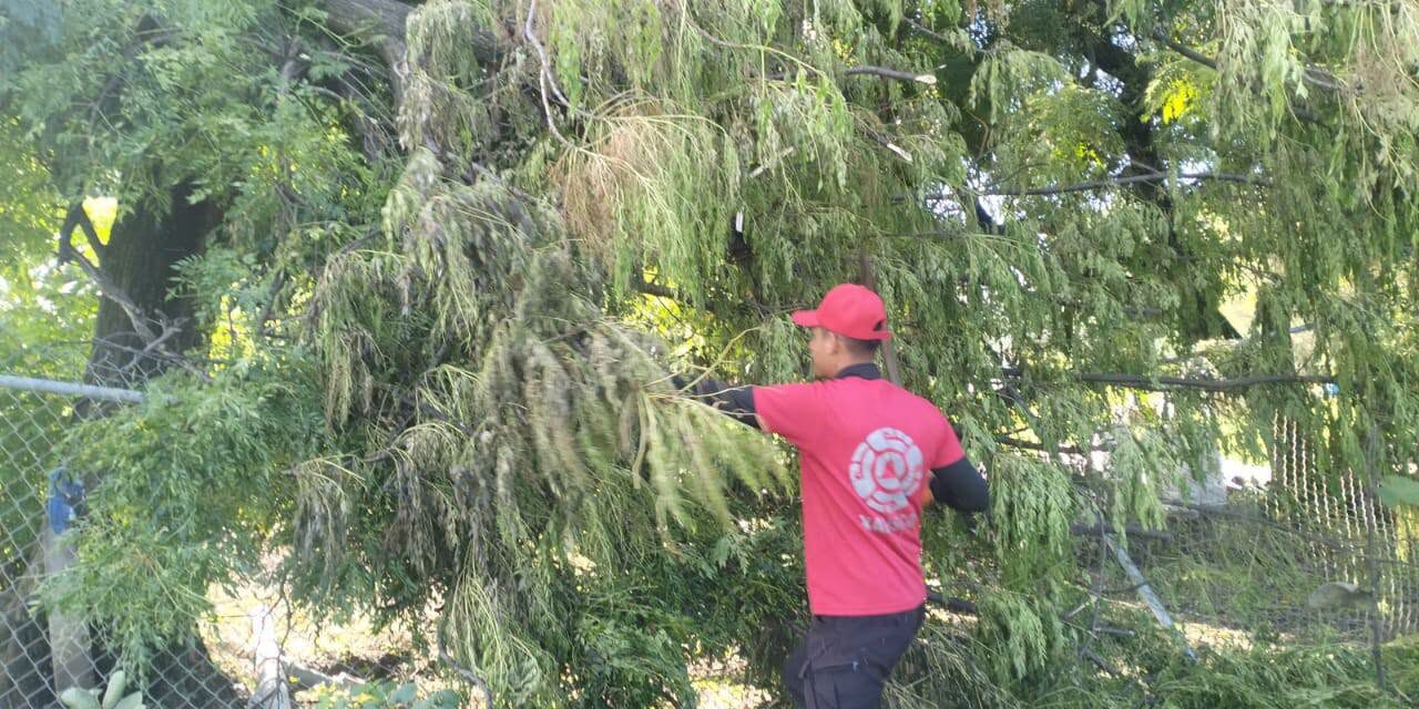 ¡XALISCO SE PREPARA PARA LA TEMPORADA DE LLUVIAS!