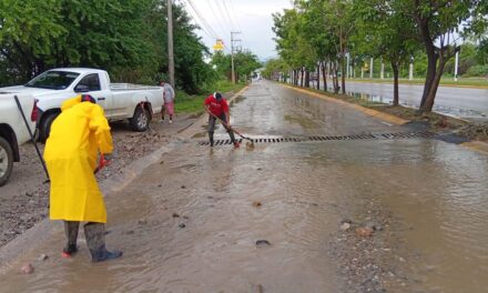 ¡ATENCIÓN OPORTUNA EVITA MAYORES AFECTACIONES! RESTABLECEN VIALIDAD TRAS ENCHARCAMIENTO EN LA MEGA
