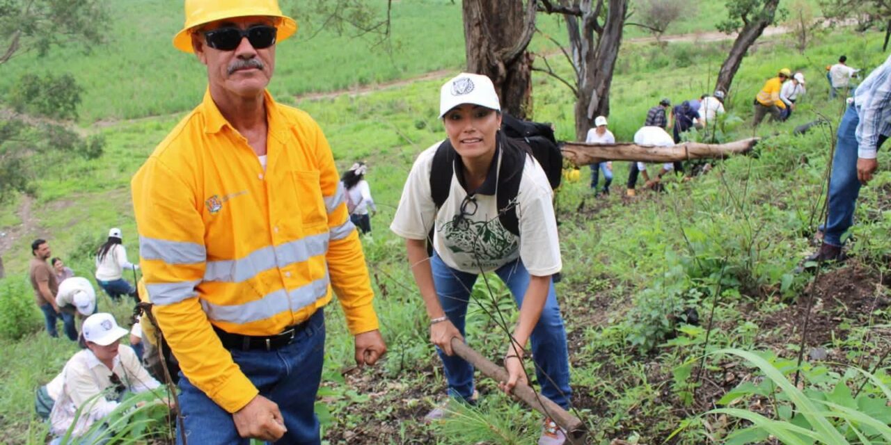 Gobierno del Estado impulsa reforestación para proteger la Sierra de San Juan y el hábitat del jaguar