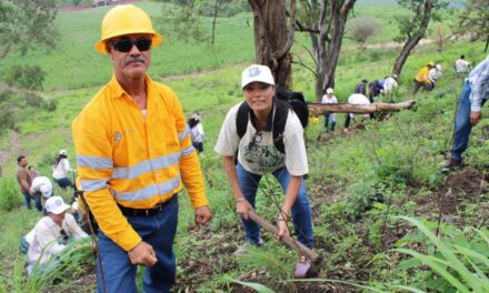 Gobierno del Estado impulsa reforestación para proteger la Sierra de San Juan y el hábitat del jaguar