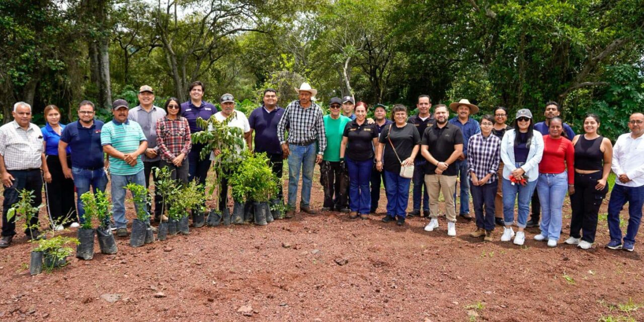 ¡XALISCO SIEMBRA VIDA EN EL DÍA DEL ÁRBOL!