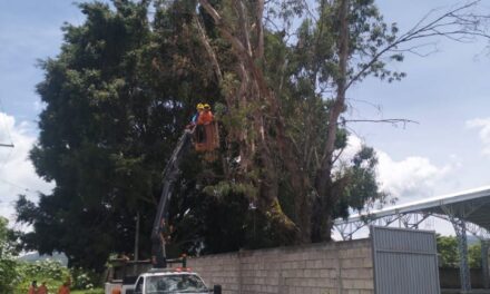 ¡XALISCO REFUERZA LA PREVENCIÓN PARA PROTEGER A LA CIUDADANÍA!