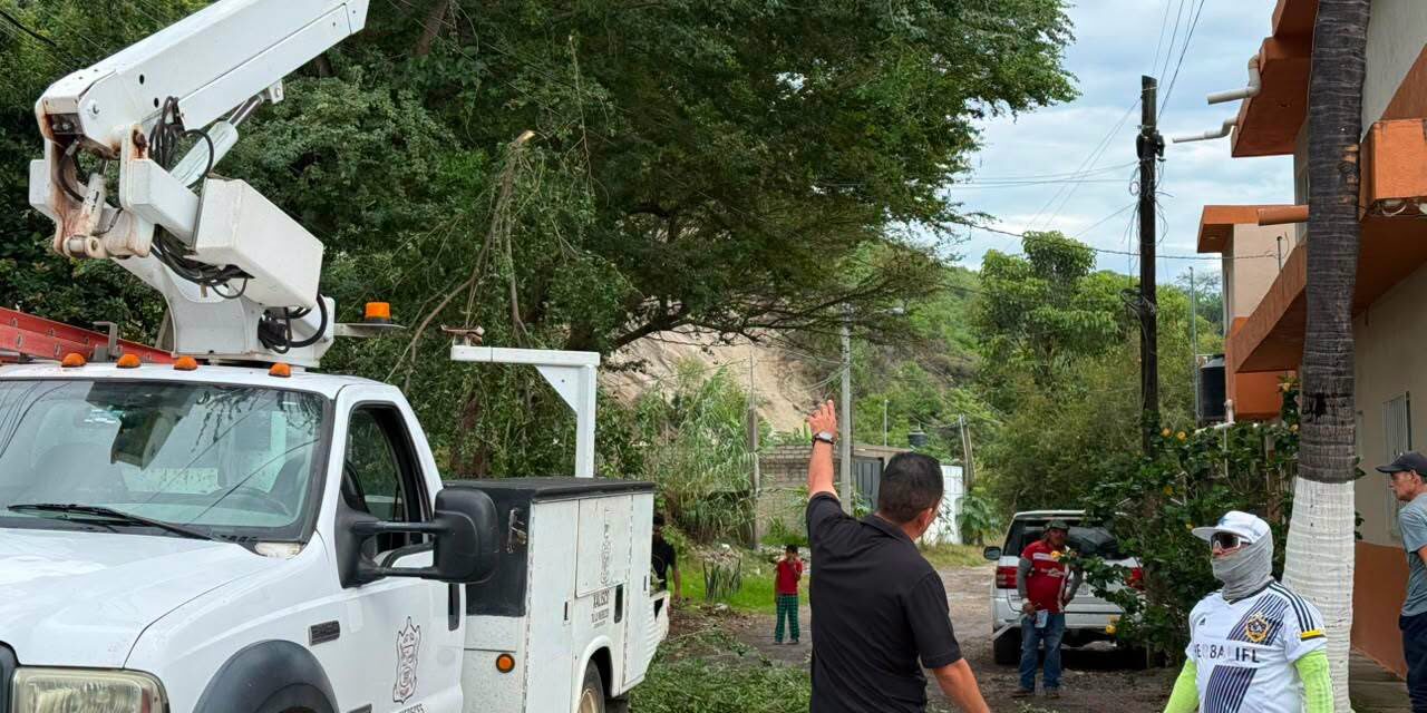 ¡PODA PREVENTIVA PARA UN XALISCO MÁS SEGURO!