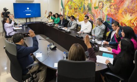 ¡TRIBUNAL SUPERIOR DE JUSTICIA APRUEBA INFORMES, RESOLUCIONES Y GUARDIAS VACACIONALES!