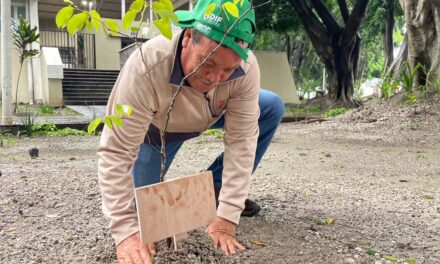 ¡NAYARIT SE UNE PARA REFORESTAR EL PARQUE LA LOMA CON 1,600 NUEVAS ESPECIES!