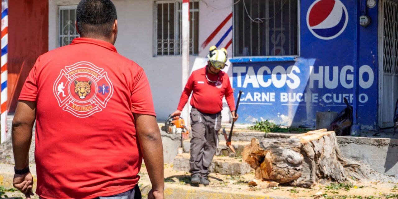 ¡CONTINÚAN LAS PODAS PREVENTIVAS EN XALISCO PARA REDUCIR RIESGOS DURANTE LAS LLUVIAS!