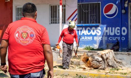 ¡CONTINÚAN LAS PODAS PREVENTIVAS EN XALISCO PARA REDUCIR RIESGOS DURANTE LAS LLUVIAS!