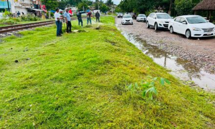 ¡ACAPONETA SE TRANSFORMA CON LIMPIEZA Y REFORESTACIÓN PARA UN MUNICIPIO MÁS VERDE!