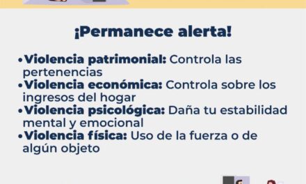 ¡CONOCE LOS TIPOS DE VIOLENCIA Y APRENDE A IDENTIFICAR LAS SEÑALES DE ALERTA!