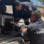 ¡COMPROMETIDOS CON LA PROTECCIÓN Y BIENESTAR ANIMAL!