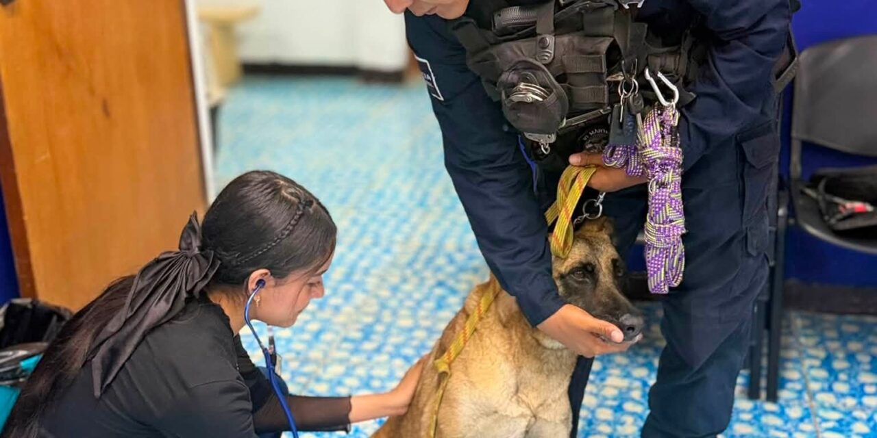 ¡LA UNIDAD K9 SE CAPACITA PARA BRINDAR MEJOR CUIDADO A SUS BINOMIOS CANINOS!