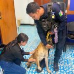 ¡LA UNIDAD K9 SE CAPACITA PARA BRINDAR MEJOR CUIDADO A SUS BINOMIOS CANINOS!