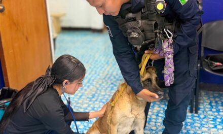 ¡LA UNIDAD K9 SE CAPACITA PARA BRINDAR MEJOR CUIDADO A SUS BINOMIOS CANINOS!