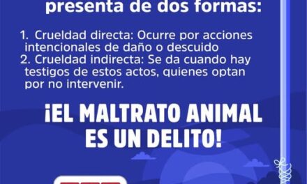 ¡ALTO AL MALTRATO ANIMAL! DENUNCIA