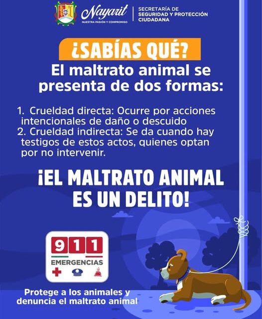 ¡ALTO AL MALTRATO ANIMAL! DENUNCIA