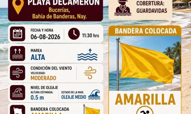 ¡DISFRUTA EL VERANO CON SEGURIDAD EN LA PLAYA!