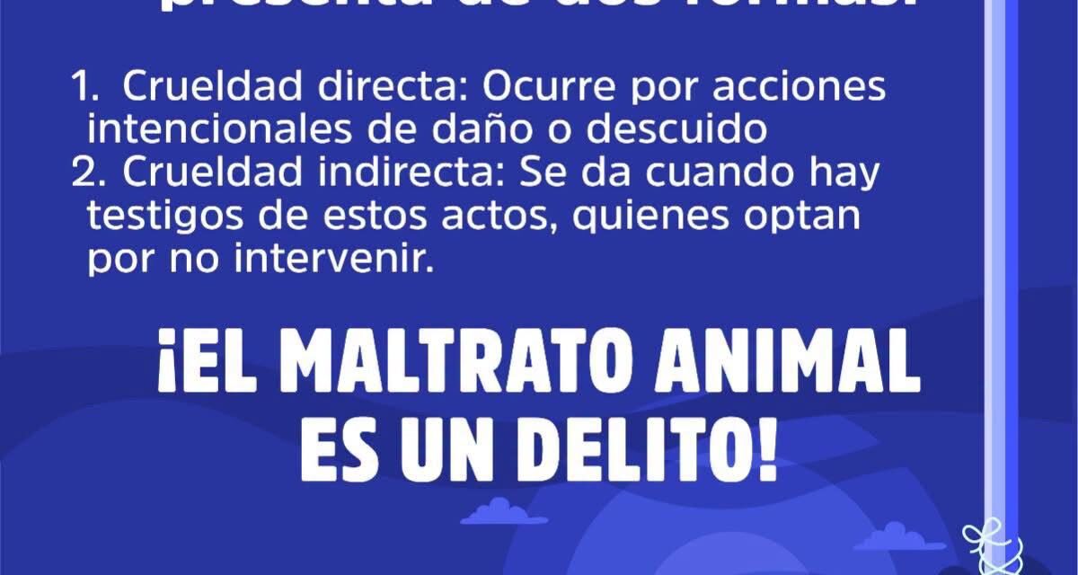 ¡ALTO AL MALTRATO ANIMAL!