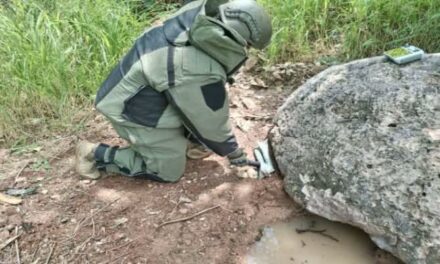 ¡FUERTES OPERATIVOS EN NAYARIT: GOLPE AL DELITO Y ASEGURAMIENTO DE ARMAS!