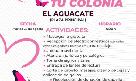 ¡EL AGUACATE LATE CON MÁS APOYOS Y SERVICIOS GRATUITOS!