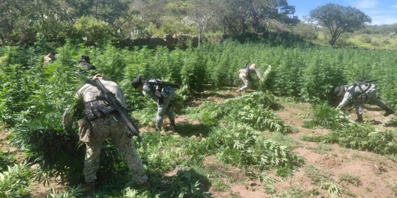 NAYARIT FORTALECE LA SEGURIDAD EN SUS COMUNIDADES