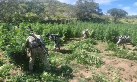 NAYARIT FORTALECE LA SEGURIDAD EN SUS COMUNIDADES