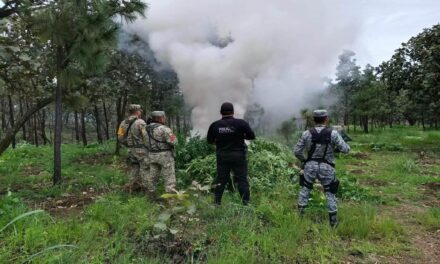 ¡NAYARIT REFUERZA LA SEGURIDAD CON OPERATIVOS Y ACCIONES POR LA PAZ!