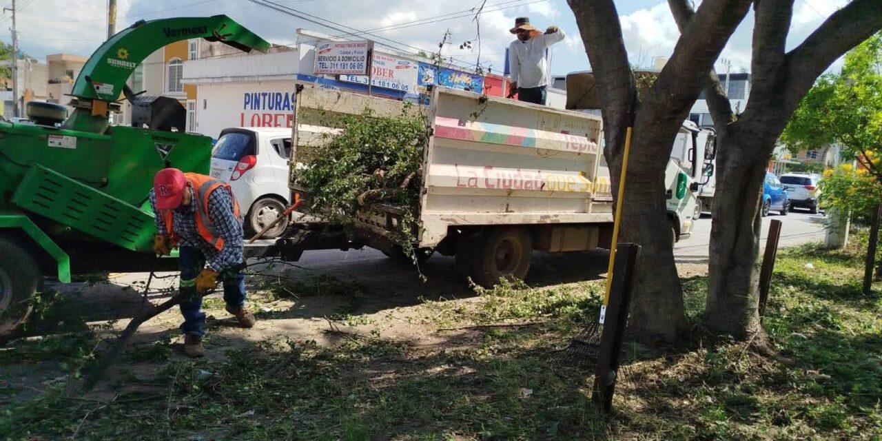 ¡TEPIC AVANZA CON ESPACIOS MÁS LIMPIOS Y ORDENADOS!