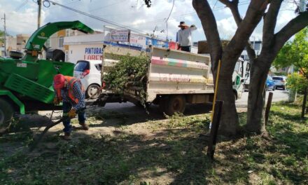 ¡TEPIC AVANZA CON ESPACIOS MÁS LIMPIOS Y ORDENADOS!