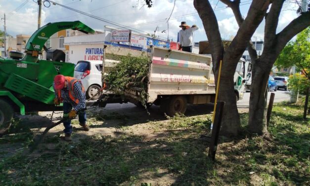 ¡TEPIC AVANZA CON ESPACIOS MÁS LIMPIOS Y ORDENADOS!