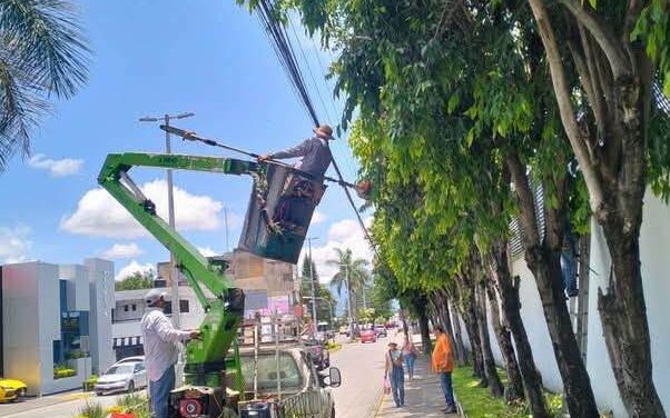 ¡TEPIC SE MANTIENE LIMPIO, ORDENADO Y MÁS BONITO PARA TODAS Y TODOS!