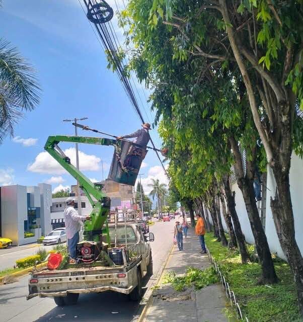¡TEPIC SE MANTIENE LIMPIO, ORDENADO Y MÁS BONITO PARA TODAS Y TODOS!