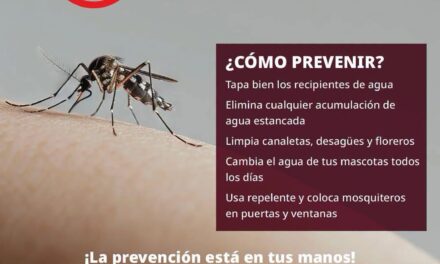 ¡CUIDA TU CASA Y PREVIENE EL DENGUE!
